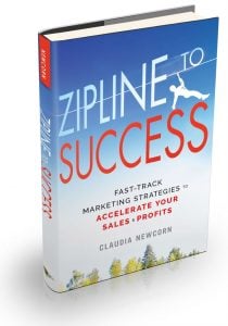 Zipline to Success